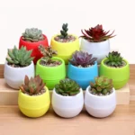 Plastic-Drainage-Hole-Egg-Shape-Plant-Pot-Flowerpot-Home-Office-Garden-Decor