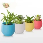 Plastic-Drainage-Hole-Egg-Shape-Plant-Pot-Flowerpot-Home-Office-Garden-Decor