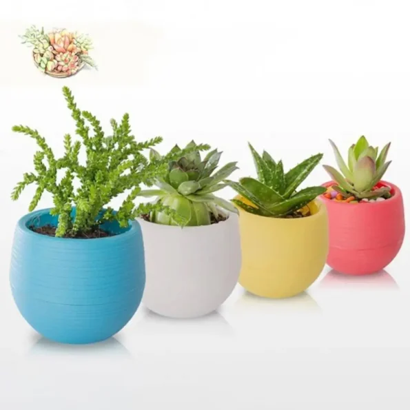 Plastic-Drainage-Hole-Egg-Shape-Plant-Pot-Flowerpot-Home-Office-Garden-Decor-3