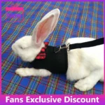 Rabbits-Hamster-Vest-Harness-With-Leash-Bunny-Mesh-Chest-Strap-Harnesses-Ferret-Guinea-Pig-Small-Animals