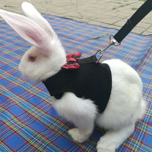 Rabbits-Hamster-Vest-Harness-With-Leash-Bunny-Mesh-Chest-Strap-Harnesses-Ferret-Guinea-Pig-Small-Animals